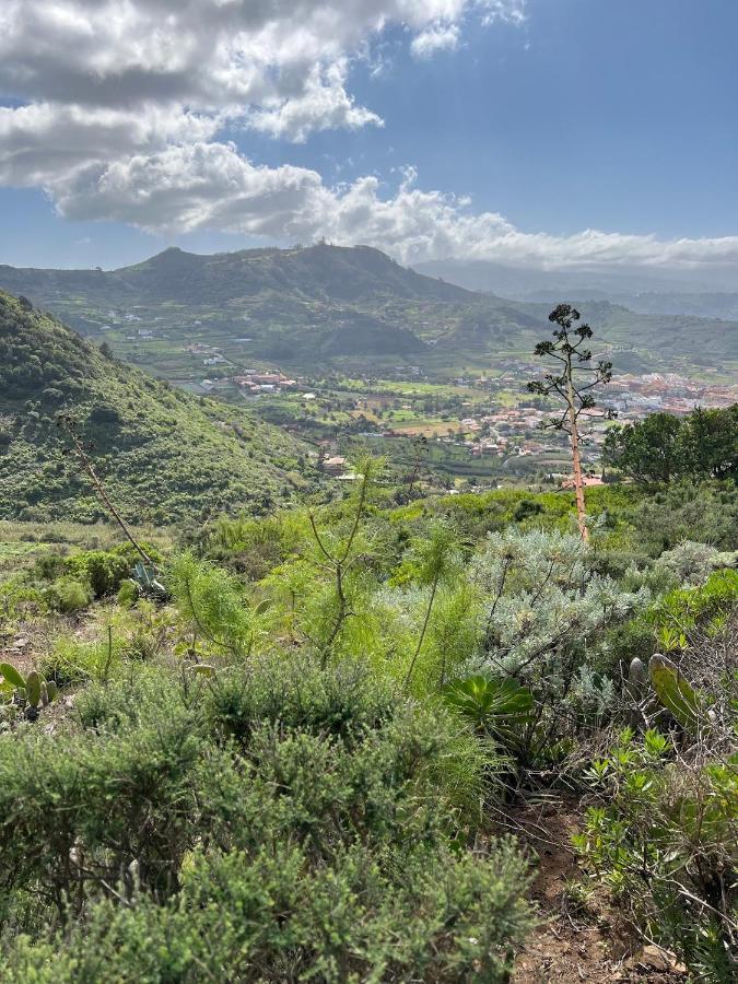 Apartamento En Bajamar -Tenerife Eksteriør billede